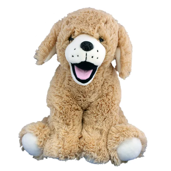 Goldie the Retriever photo 2