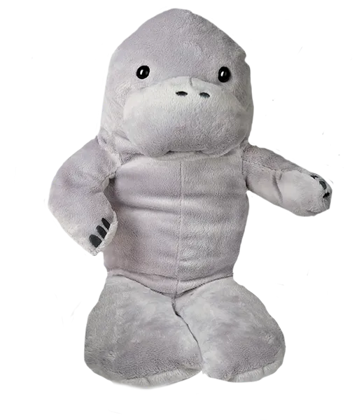 Molly The Manatee photo 2