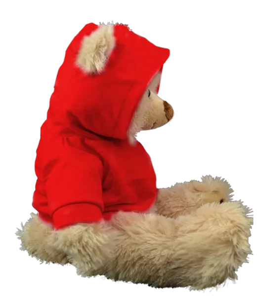 Red Hoodie photo 2
