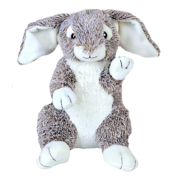 Forest the Rabbit photo 2