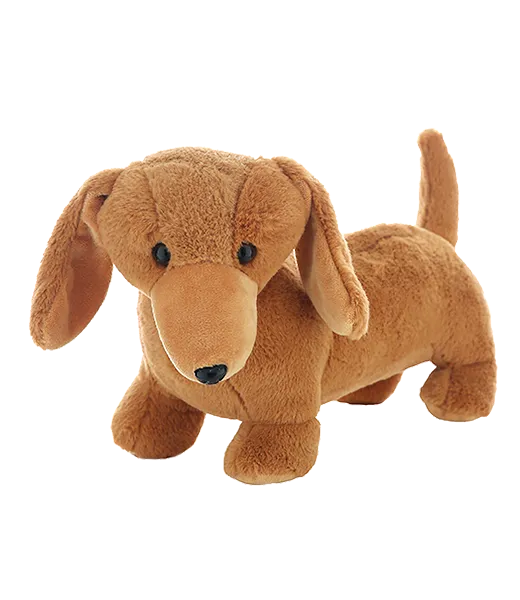 Weiner the Dachshund