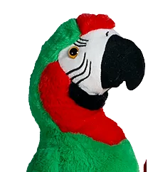Preston the Parrot