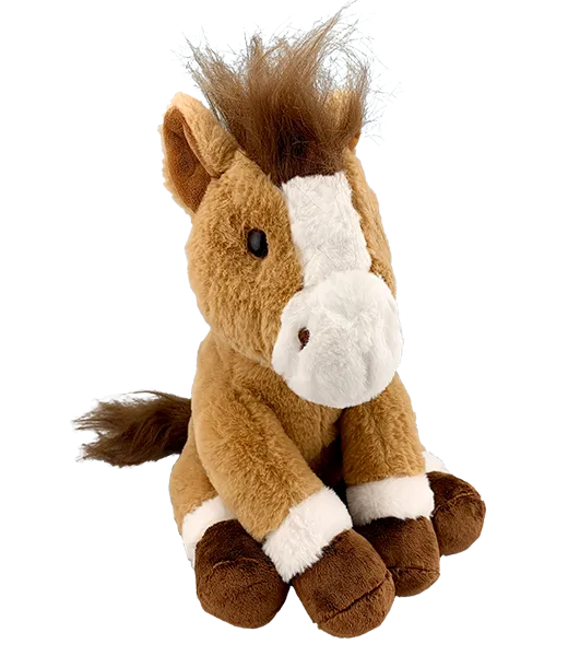 Brown Sugar the Horse photo 2