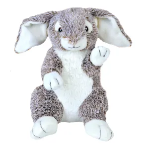 Forest the Rabbit