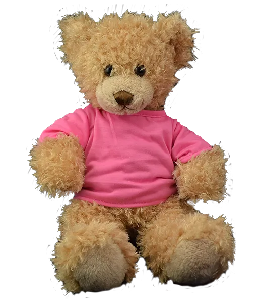 Bright Pink T-Shirt photo 2