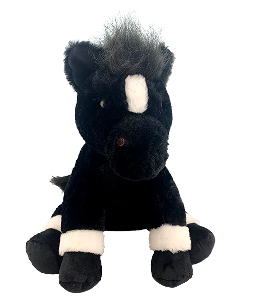 BlackJack the Horse photo 2