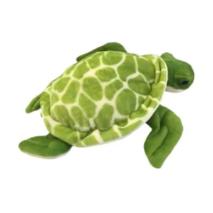 Shelldon the Sea Turtle
