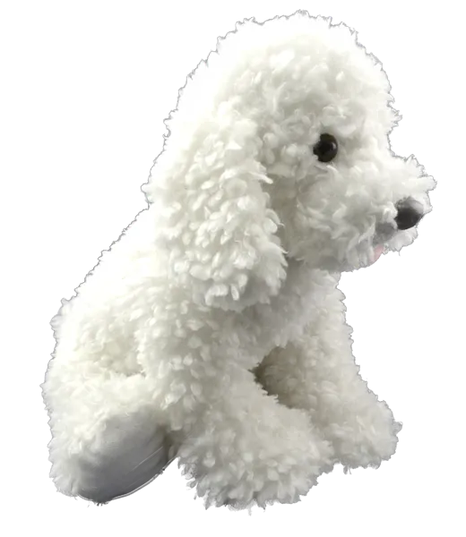 Scruffles the Dog photo 3
