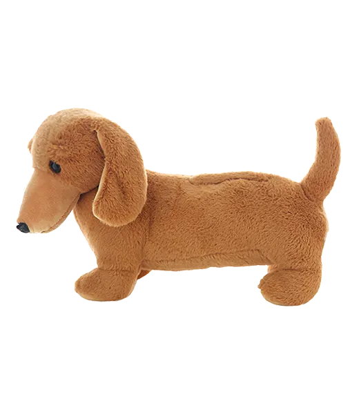 Weiner the Dachshund photo 2