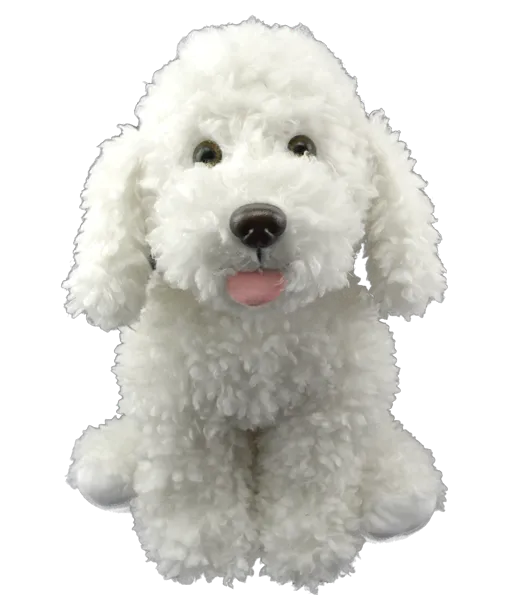 Scruffles the Dog