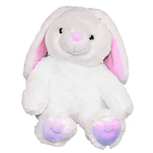 Cottonball the Bunny Rabbit photo 2