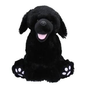 Shadow the Black Lab
