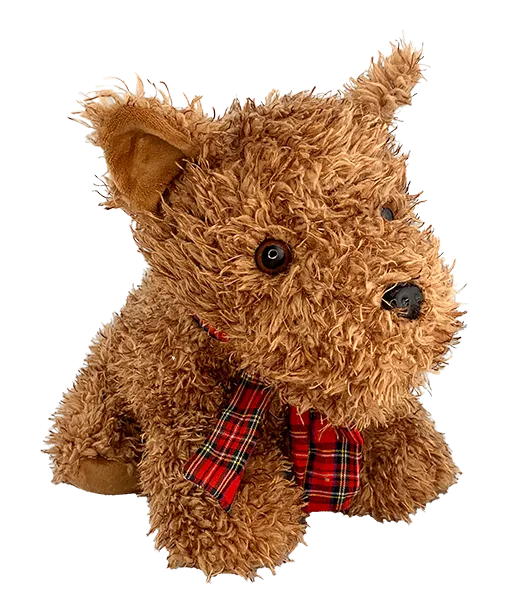 Tinsel the Terrier photo 2