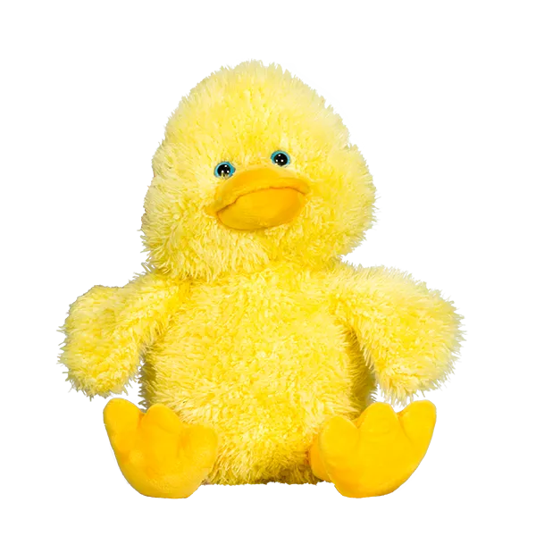 Puddles The Duck photo 2