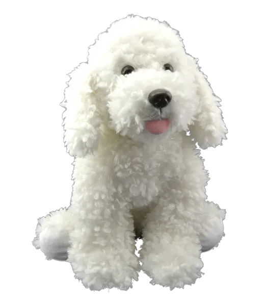 Scruffles the Dog photo 2