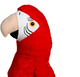 Pandora the Parrot