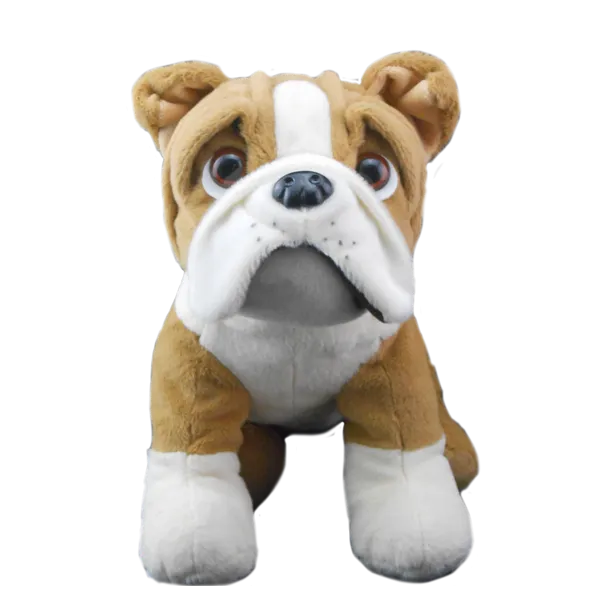 Buddy the Bulldog photo 2