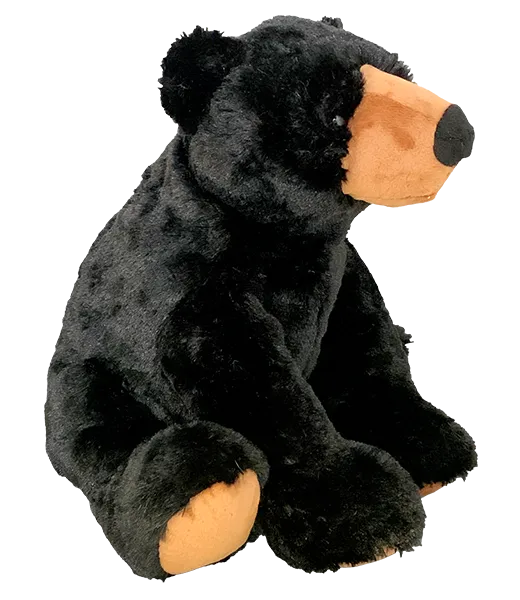 Hucklebeary the Black Bear photo 2