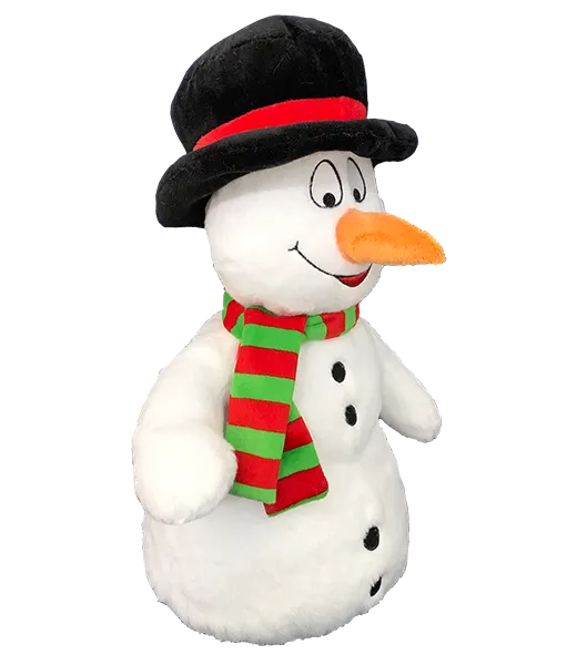 Sir Slush-A-Lot the Snowman photo 2