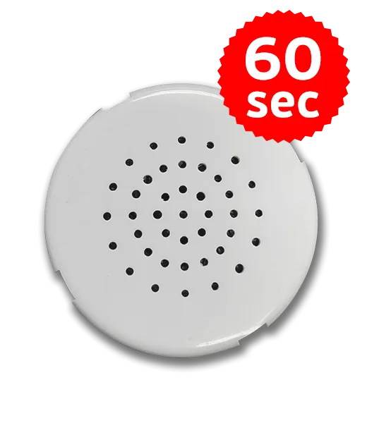 Recordable Sound Module