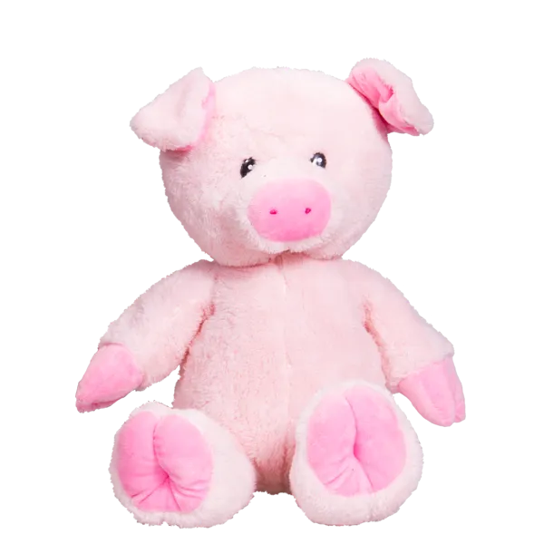 Pudge the Pig photo 2