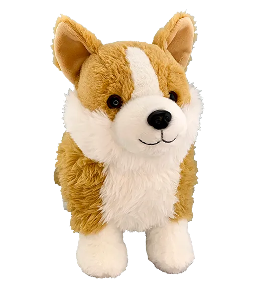 Nugget the Corgi photo 2