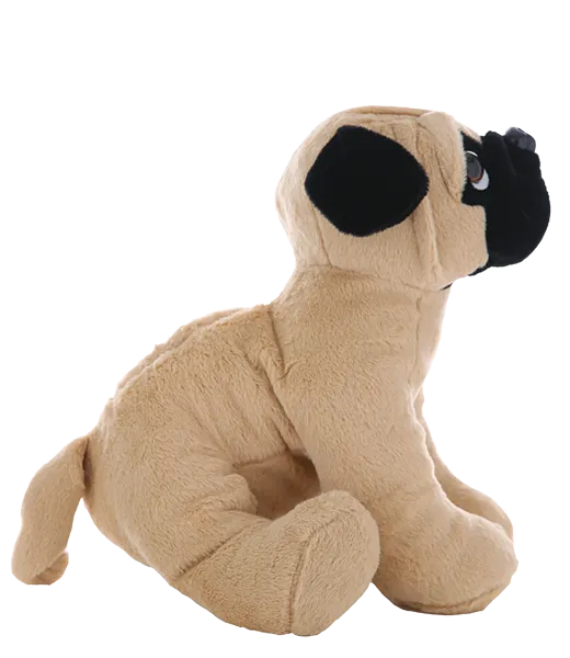 Pugsley the Pug photo 3