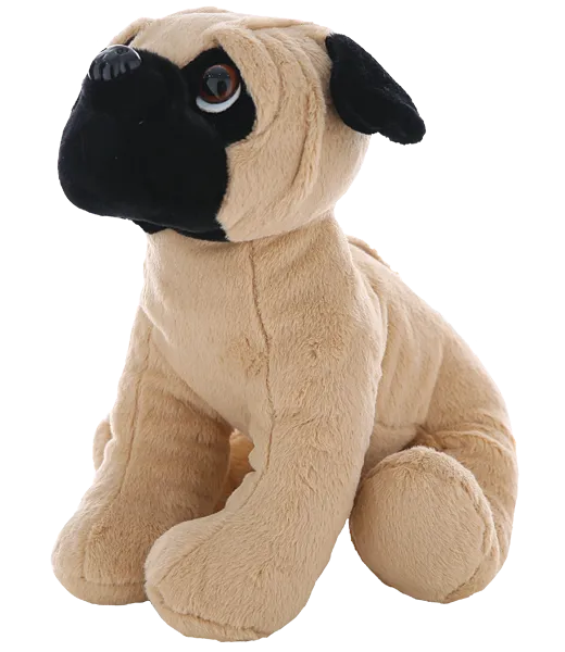 Pugsley the Pug photo 2