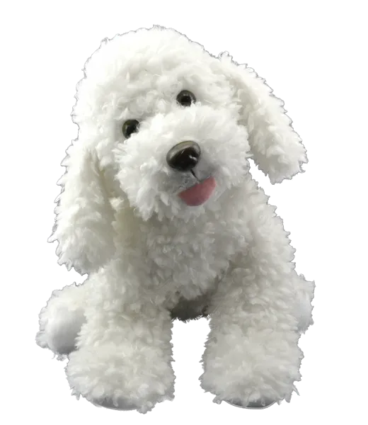 Scruffles the Dog photo 4