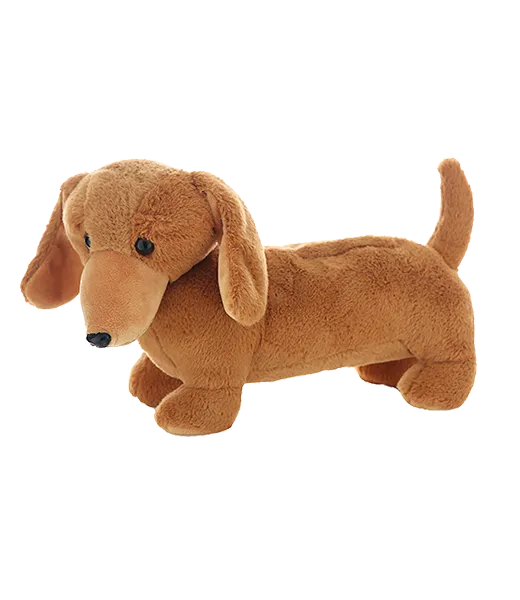 Weiner the Dachshund photo 3