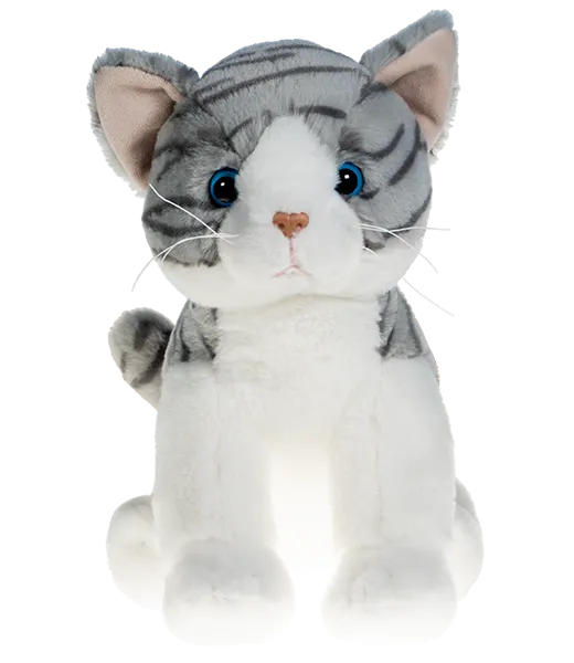 Purrcilla the Cat