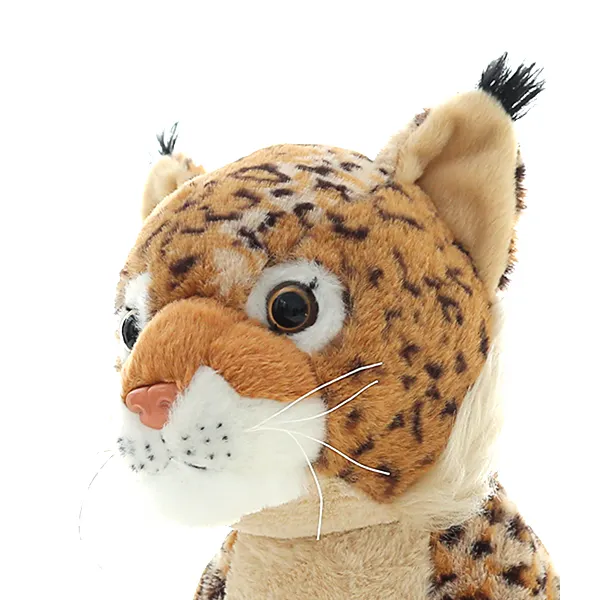 Bob the Big Cat