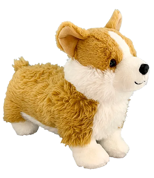Nugget the Corgi