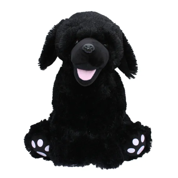 Shadow the Black Lab photo 2