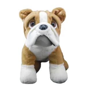 Buddy the Bulldog