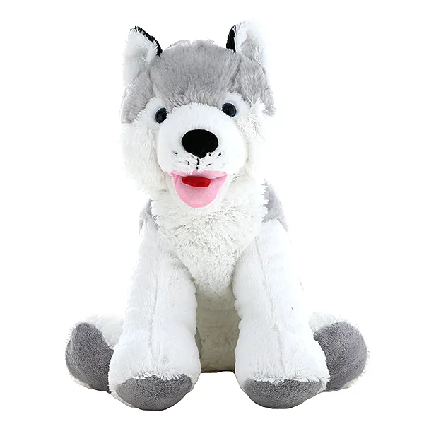 Snowshoe the Husky photo 2