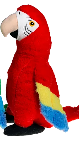 Pandora the Parrot photo 2