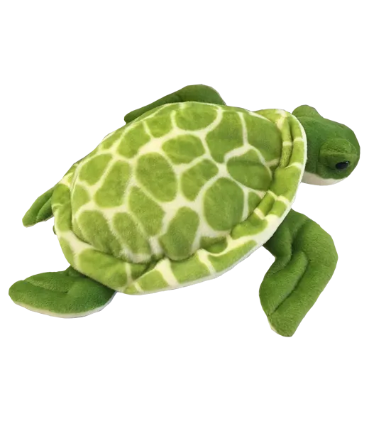 Shelldon the Sea Turtle photo 2